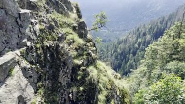 Sentier des Roches 'tan Rocky Mountain Manzarası, Vosges, Alsace-Lorraine, Fransa' dan GR 531 Yürüyüş Patikası, Verimli Ormanlar ve Panoramik Görüş Alanı