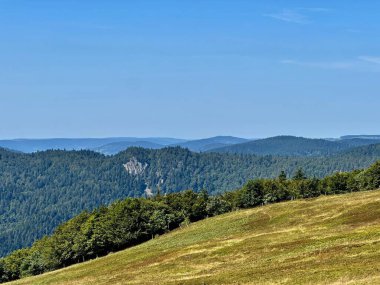 Açık bir yaz gününde Vosges Dağları, Grand Est, Fransa 'daki Massif du Ventron' un Yoğun Ormanları ve Yuvarlanan Çayırlarla kaplı geniş bir manzarası