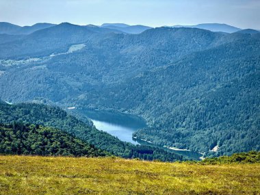 Yoğun Orman ve Dağ Dağları ile çevrili, Vosges, Alsace-Lorraine, Grand Est, Fransa 'nın Parlak Yaz Günü' nde Cretes Yolu 'ndan görülen,