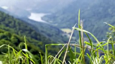 Kruth-Wildenstein Gölü ve Vosges Dağları 'nın Çevresindeki Manzaralı Panorama Açık Bir Yaz Günü' nde Alsace-Lorraine, Grand Est 'teki Crtes Yolu' ndan yakalanmıştır.