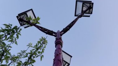 Klasik mimari ve doğanın uyumunu vurgulayan, berrak mavi gökyüzü altında yemyeşil yapraklarla çevrili, üç fenerli klasik sokak lambasının alçak açılı görüntüsü