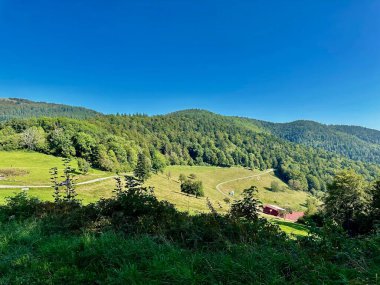 Fransa 'nın Alsace bölgesindeki Vosges' deki Rolling Green Hills ve Ormanlı Dağ Dağları 'nın Panoramik Manzarası Açık Bir Yaz Günü' nde