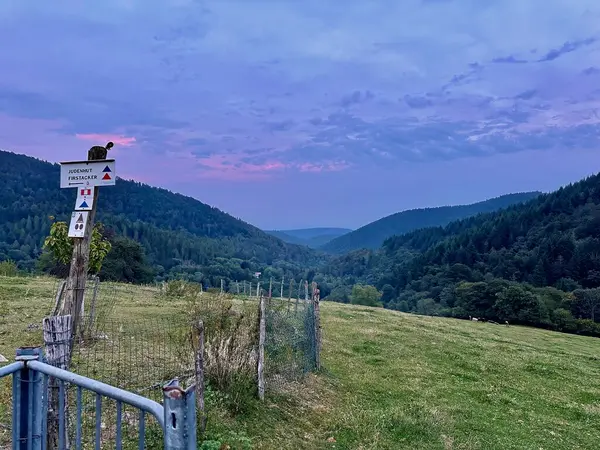 stock image Soultz-Haut-Rhin, France - August 30 2024 : Scenic Mountain Club Vosgien Trail Markers in Vosges Mountains at Dusk, Glashutte in Alsace