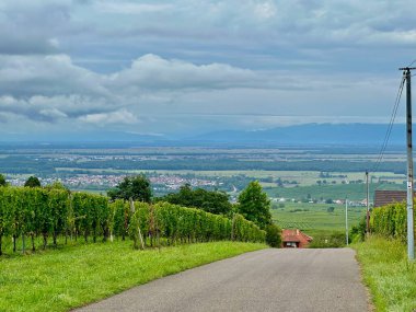 Haut-Rhin, Grand Est, Fransa 'daki Ünlü Şarap Yolu' ndaki Voegtlinshoffen üzüm bağlarından Alsace Ovası 'nın manzarası Bulutlu Gökler ve Yuvarlanan Kırsal Bölgeler