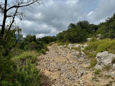 Rocky Hiking Pathway Surrounded by Dense Green Foliage and Rugged Limestone Cliffs Under Overcast Skies at Pic Saint-Loup, Southern France clipart