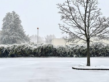 Snow-Covered Parking Lot with Bare Tree and Evergreen Hedges Under Overcast Winter Sky During Snowfall clipart