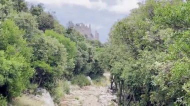 Montferrand Kalesi 'ne çıkan Manzaralı Yürüyüş Yolu Saint-Mathieu-de-Trviers' deki Lush Green Forest, Fransa 'nın Pic Saint-Loup yakınlarındaki