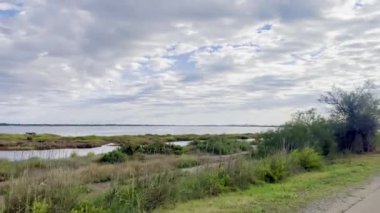 Serene Wetland Manzarası ve dramatik Bulutlu Gökyüzü ile Mjean Gölü boyunca Manzaralı Bisiklet Yolunda Sür