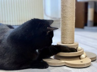 Oyuncak Büyük Kara Kedi İnteraktif Tahta Kedi Bilmece Oyuncak ile Çizik Postalı, Kapalı Ev Ayarları