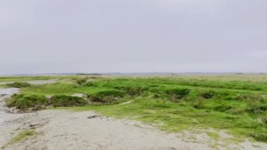 Berck yakınlarındaki Baie d 'Authie' nin Ekim Manzarası Bataklık ve Kumsal Yolları