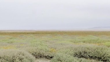 Berck yakınlarındaki Baie d 'Authie' nin Ekim Manzarası Bataklık ve Kumsal Yolları