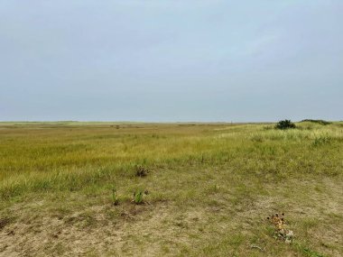 Sonbaharda Fransa 'nın Berck kenti yakınlarındaki Authie Körfezi' nin geniş açık bataklığı kumlu yolları, çimenli kumulları ve bulutlu gökyüzü ile sakin doğal bir manzarayı gözler önüne seriyor.
