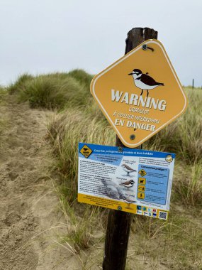 Berck, France - October 15 2024 : Warning sign in coastal dunes of Authie Bay, alerting visitors to the presence of the endangered Kentish plover and the need to protect its fragile nesting habitat clipart