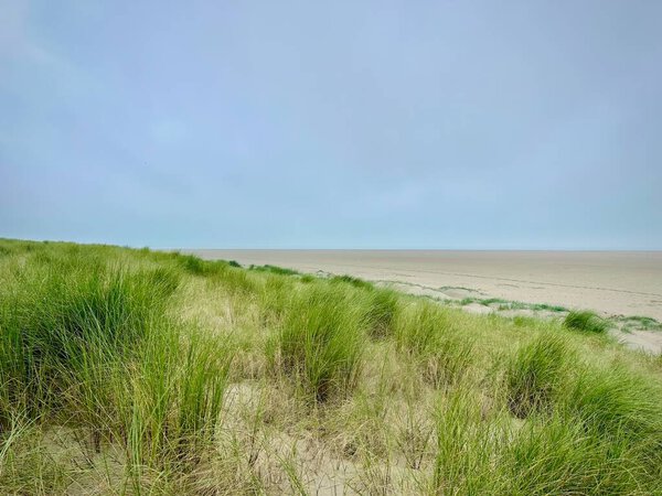 Обширные прибрежные дюны, покрытые пышной зеленой мраморной травой с видом на огромную приливную равнину в бухте Оти близ Берка, Франция, под туманным небом, вызывая чувство спокойствия и изоляции