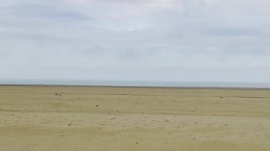 Baie d 'Authie' nin engin ve sakin manzarası, uzak bir fırtınada, sığ gelgit havuzlarında yüzen yalnız beyaz bir kuş ve dramatik bulutlarla dolu bir gökyüzü.