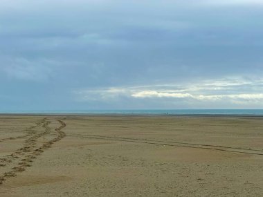 Vast and serene view of Authie Bay at low tide, with expansive sandy shoreline, calm ocean waters, and a dramatic sky filled with layered clouds, creating a peaceful and atmospheric coastal landscape clipart