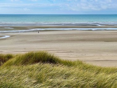 Serene Authie Bay coastal landscape with golden dune grass in the foreground, vast sandy beach, tidal pools, and a lone figure walking by the calm sea under a partly cloudy sky, near Fort-Mahon clipart