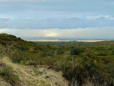 Bulutlu bir gökyüzünün altında ufka doğru uzanan bereketli sahil kum tepelerinin geniş bir görüntüsü çeşitli bitki örtüsü, yuvarlanan tepeler ve korunmuş doğal bir manzaradaki uzak kum oluşumlarını gözler önüne seriyor.