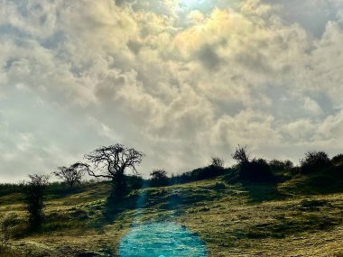 Fort-Mahon yakınlarındaki güneşli kum tepeciği, kıvrımlı kumlu bir patika, seyrek bitki örtüsü ve dramatik bulutlar, parıldayan gökyüzüne karşı siluetli ağaçlar ve mercek efektleri.