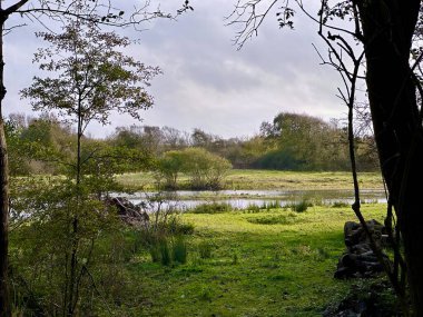 Berck ve Fort-Mahon yakınlarındaki korunmuş sulak bir yaşam alanı olan Authie Körfezi 'ndeki sakin kum tepeleri ve doğal adacıklar yemyeşil ve yansıtıcı suların ortasında sayısız kuş türüne barınak sağlıyor.