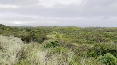 Bulutlu bir gökyüzünün altında yoğun yeşil bitki örtüsüyle kaplı geniş verimli sahil kum tepecikleri, ufka doğru uzanan çeşitli ve korunmuş bir doğal ekosistemi gösteriyor.