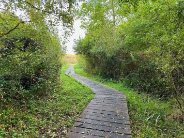 Fort-Mahon 'da, yemyeşil bir ormanlık alana uzanan ahşap bir yaya köprüsü ile sakin bir gölete doğru uzanan manzaralı keşif yolu korunmuş bir çevrede derin bir doğa deneyimi sunuyor.