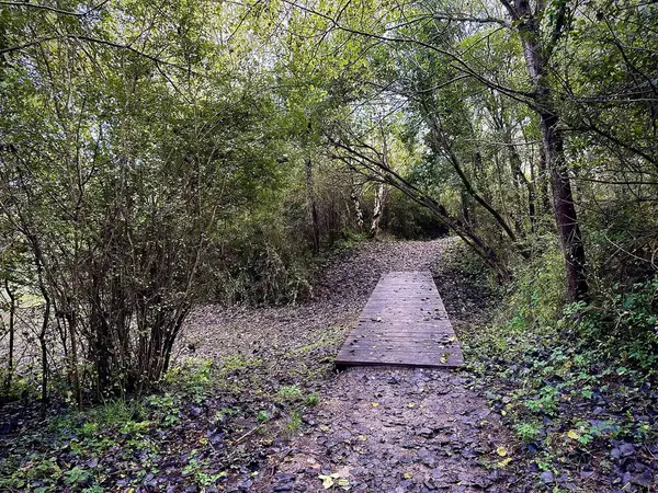 Fort-Mahon 'da, yemyeşil bir ormanlık alana uzanan ahşap bir yaya köprüsü ile sakin bir gölete doğru uzanan manzaralı keşif yolu korunmuş bir çevrede derin bir doğa deneyimi sunuyor.