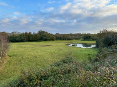 Berck ve Fort-Mahon yakınlarındaki korunmuş sulak bir yaşam alanı olan Authie Körfezi 'ndeki sakin kum tepeleri ve doğal adacıklar yemyeşil ve yansıtıcı suların ortasında sayısız kuş türüne barınak sağlıyor.