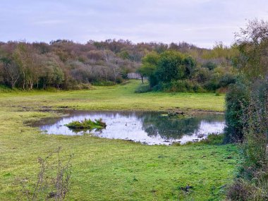 Berck ve Fort-Mahon yakınlarındaki korunmuş sulak bir yaşam alanı olan Authie Körfezi 'ndeki sakin kum tepeleri ve doğal adacıklar yemyeşil ve yansıtıcı suların ortasında sayısız kuş türüne barınak sağlıyor.