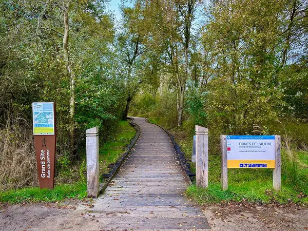 Fort-Mahon, Fransa - 14 Ekim 2024: Ahşap bir yaya köprüsü ile birlikte, sakin bir gölete doğru uzanan, korunmuş bir çevreye daldırıcı doğa