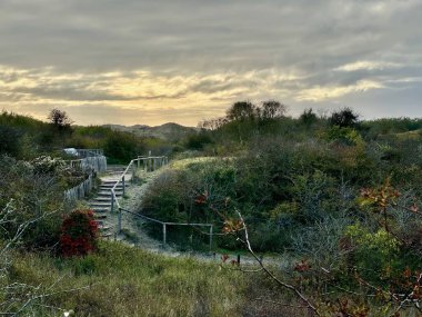 Fort-Mahon yakınlarındaki manzaralı güneşli kum tepeciği, dolambaçlı bir keşif yolu, seyrek bitki örtüsü ve dramatik bulutlar, parıldayan gökyüzüne karşı siluetli ağaçlar ve ışık efektleri.