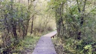 Fort-Mahon 'da, yemyeşil bir ormanlık alana uzanan ahşap bir yaya köprüsü ile sakin bir gölete doğru uzanan manzaralı keşif yolu korunmuş bir çevrede derin bir doğa deneyimi sunuyor.