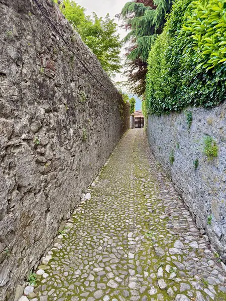 Lenno ve Ossuccio, İtalya 'da eski taş sokaklar, kaldırımlı yollar, kırsal duvarlar, zeytin ağaçları ve yemyeşil alanlar, büyüleyici bir göl köyünde huzurlu bir atmosfer sunuyor.