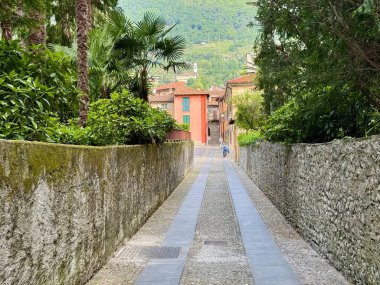 Via alla Torre yolu yosun kaplı taş duvarlar ve yemyeşil Akdeniz yeşili arasında uzanan dar kaldırımlar yemyeşil Prealpine tepeleri, Lenno, Como Gölü, İtalya