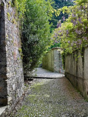 Eski yosunlu taş duvarlar, yapraklı çalılar ve Wisteria çiçekleri ile çevrili tenha kaldırım taşları Como Gölü 'nün sakin mavi sularına, Lombardiya' daki Lenno Köyü 'ne iniyor.