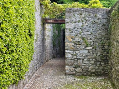 Eski yosunlu taş duvarlar, yapraklı çalılar ve Wisteria çiçekleri ile çevrili tenha kaldırım taşları Como Gölü 'nün sakin mavi sularına, Lombardiya' daki Lenno Köyü 'ne iniyor.