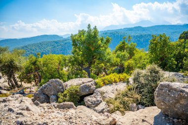 Kanyondaki dağların manzarası. Kanyon kayalıkları ve taşlarıyla muhteşem doğal panoramik manzara, Türkiye. Yüksek kalite fotoğraf