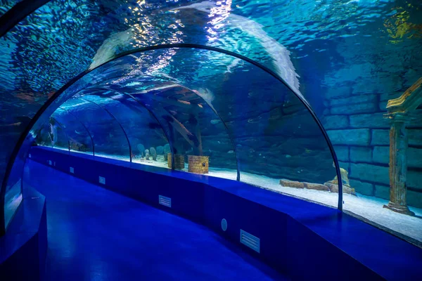 Antalya Turquía Septiembre 2022 Gente Disfruta Vista Submarina Del Acuario — Foto de Stock