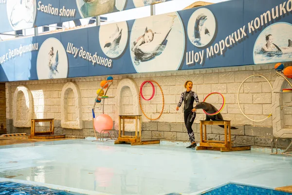 Antalya Turquia Setembro 2022 Show Com Golfinhos Leões Marinhos Aksu — Fotografia de Stock