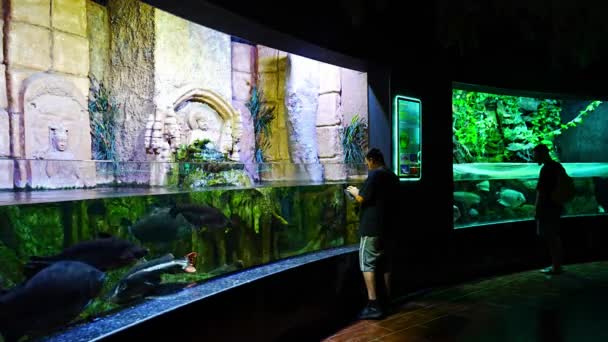 Antalya Turecko Září 2022 Lidé Užívají Podmořského Výhledu Akvárium Nejdelším — Stock video