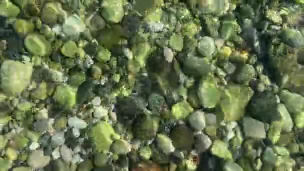 스러운 해변의 바닥에 고품질 — 비디오