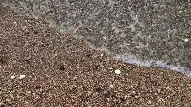 스러운 해변의 바닥에 고품질 — 비디오