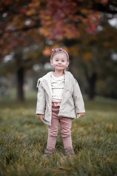 Щаслива Маленька Дівчинка Грає Восени Природі Виходить Вулицю Чеська Республіка — стокове фото