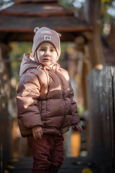 Щаслива Маленька Дівчинка Грає Восени Природі Виходить Вулицю Чеська Республіка — стокове фото