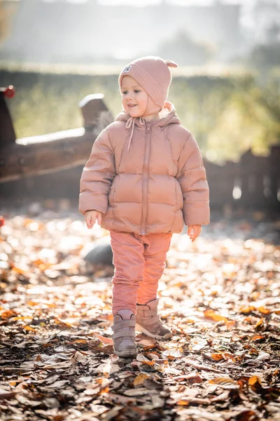 Glückliches Kleines Mädchen Das Herbst Auf Dem Naturspaziergang Draußen Der — Stockfoto