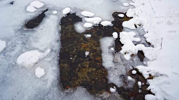 Κατεψυγμένα Elbe Ποταμού Στο Spidleruv Mlyn Χειμώνα Ορεινή Πόλη Κοντά — Αρχείο Βίντεο