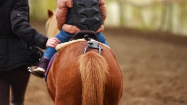 Little Child Riding Lesson Three Year Old Girl Rides Pony — Video