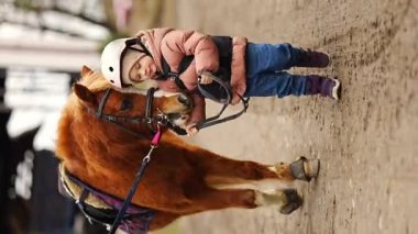 Little girl in protective jacket and helmet with her brown pony before riding Lesson. High quality 4k footage