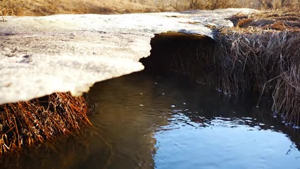 Melting Ice Cold River Early Spring Season Beautiful Nature Scene — Stockvideo