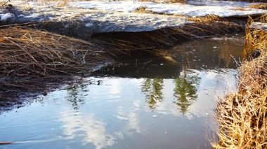 Melting ice on a cold river in early spring season. Beautiful nature scene with snow, ice and rapid river water close-up. Spring coming, global warming, season changing concept.High quality 4k footage